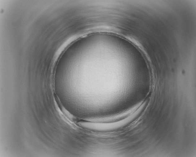 X0000052551342200507291906