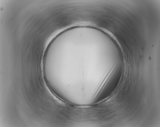 X0000052551343200507291906