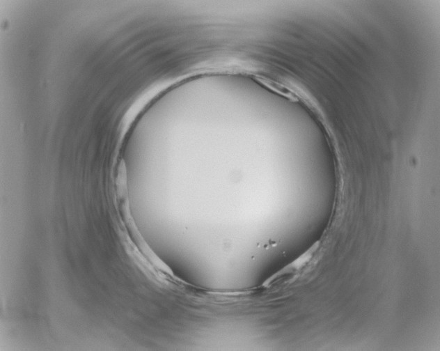 X0000052551344200507291906