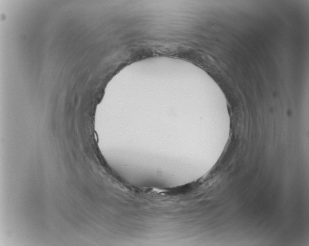 X0000052551345200507291905