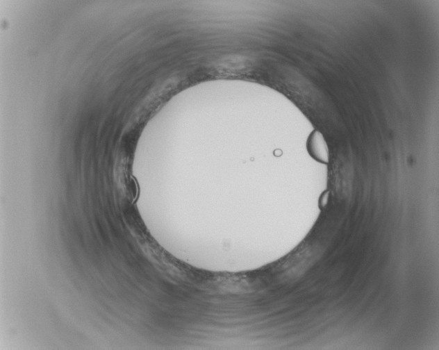 X0000052551346200507291905