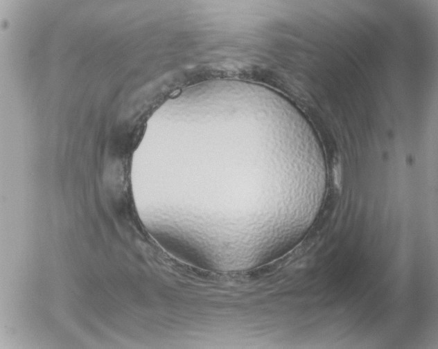 X0000052551347200507291905