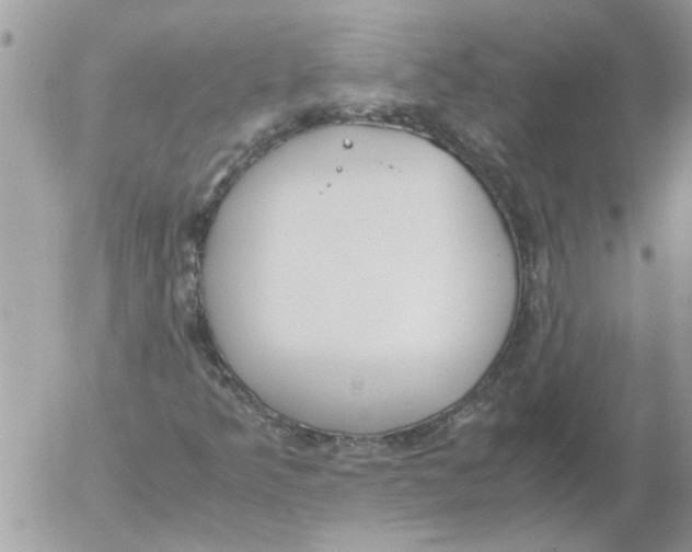 X0000052551349200507291905