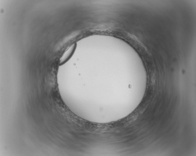 X0000052551350200507291905