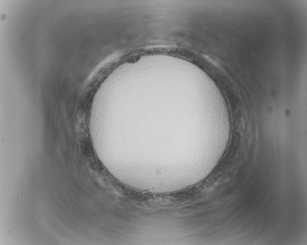 X0000052551351200507291905