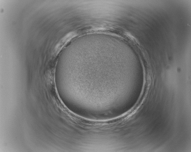 X0000052551353200507291905