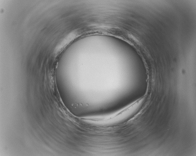 X0000052551354200507291905