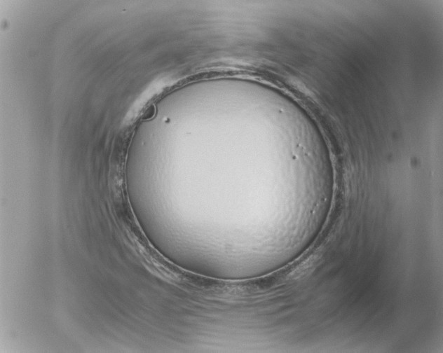 X0000052551355200507291905