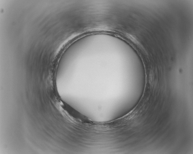 X0000052551356200507291905