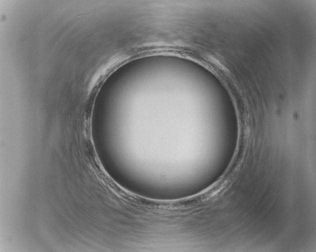 X0000052551357200507291905