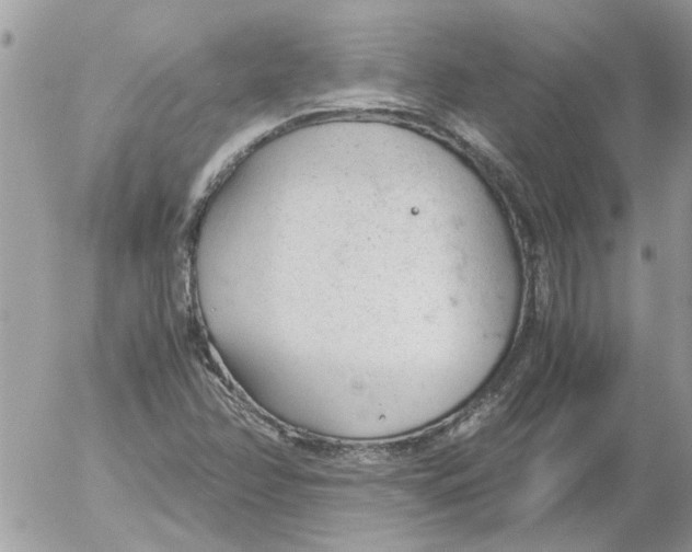 X0000052551358200507291905