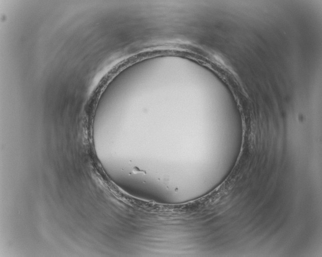 X0000052551360200507291905