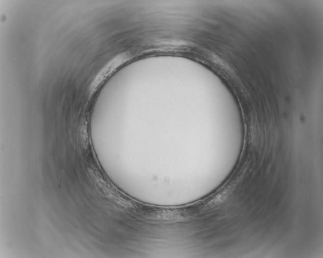 X0000052551362200507291905