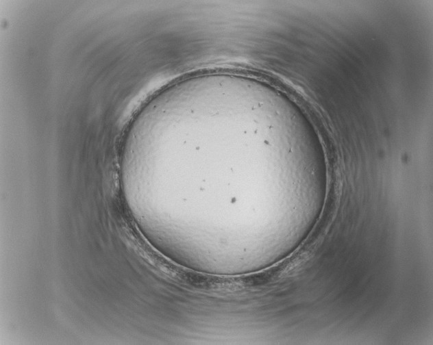 X0000052551363200507291905