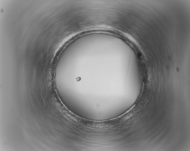 X0000052551364200507291905