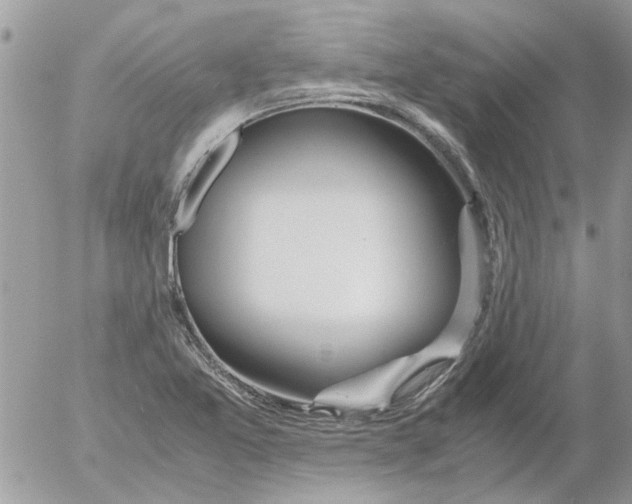 X0000052551365200507291905