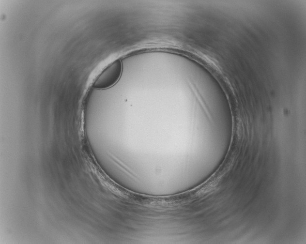 X0000052551366200507291905