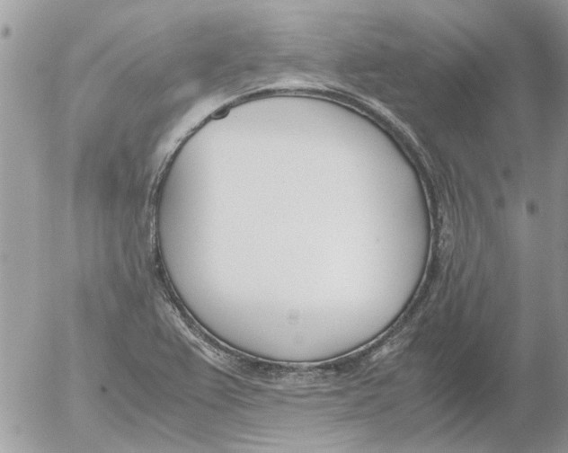 X0000052551367200507291905