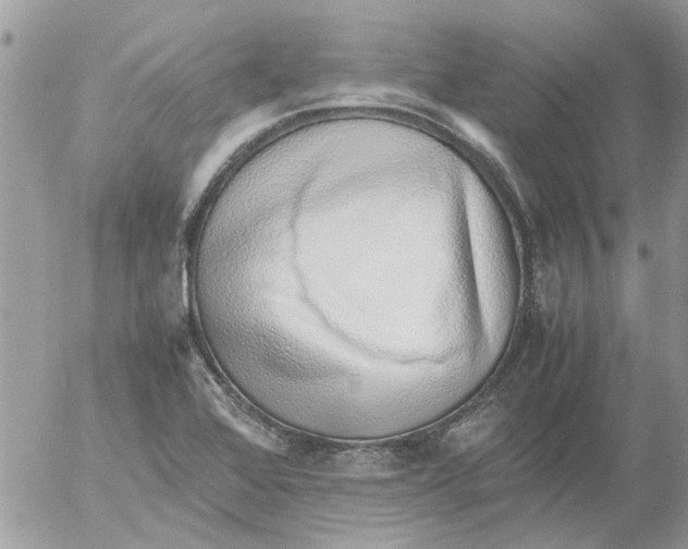 X0000052551368200507291905