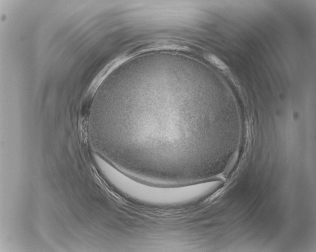 X0000052551369200507291905