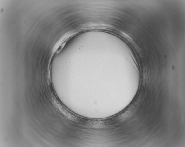 X0000052551370200507291905