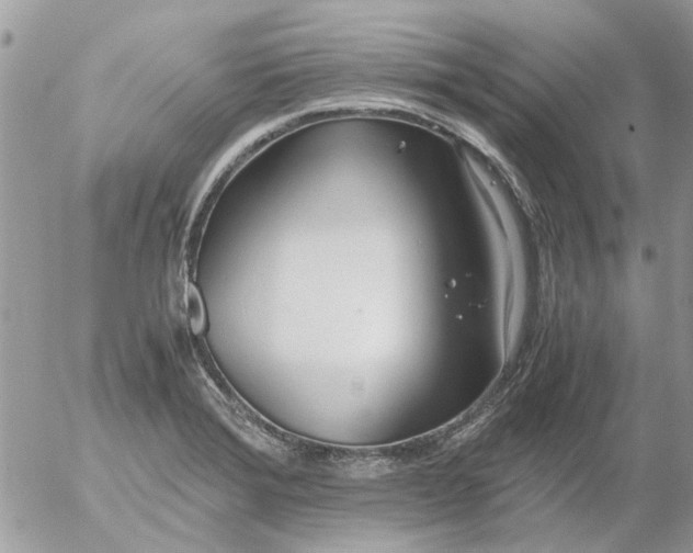 X0000052551372200507291905