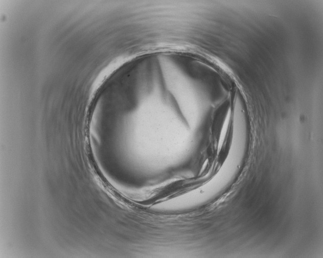 X0000052551373200507291905