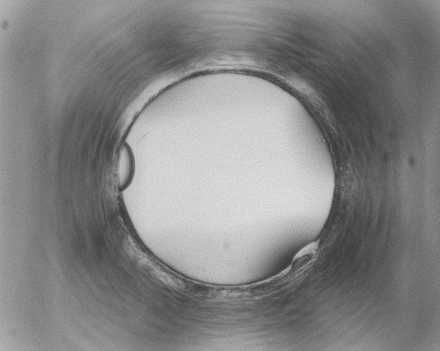 X0000052551374200507291905