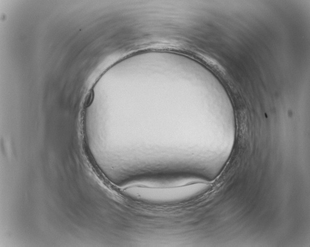 X0000052551375200507291905