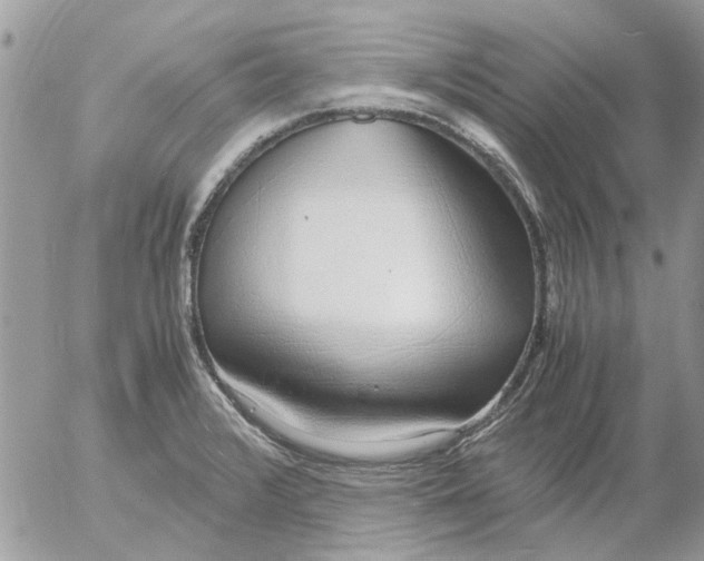 X0000052551376200507291905