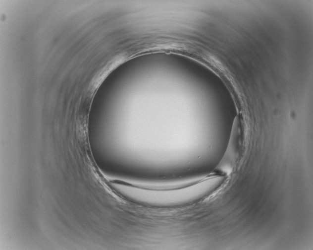 X0000052551377200507291905