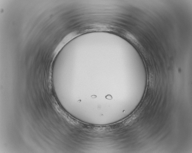 X0000052551378200507291905