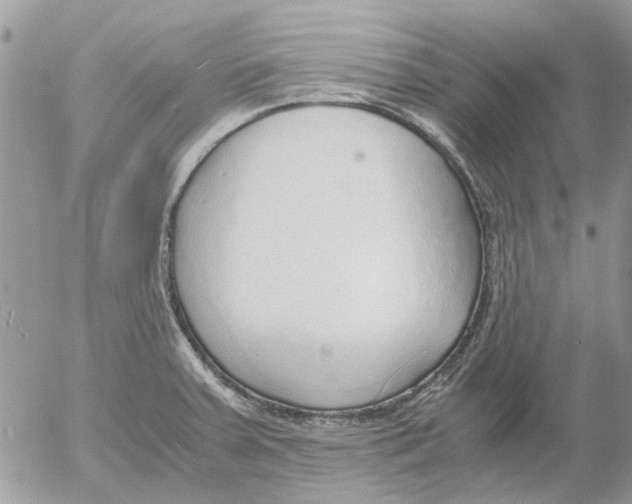 X0000052551379200507291905