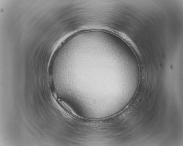 X0000052551380200507291905