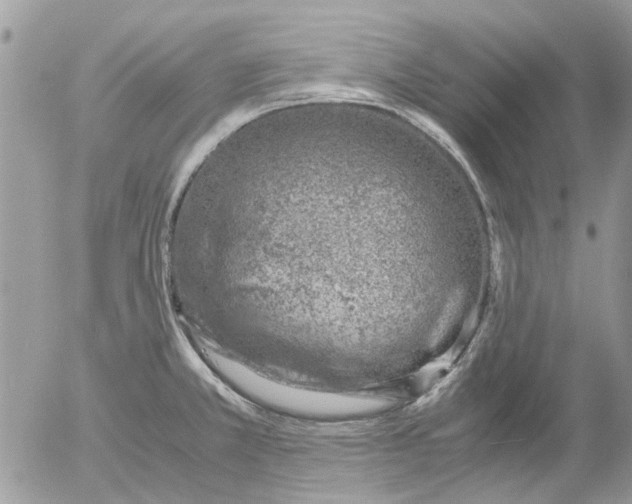 X0000052551381200507291905