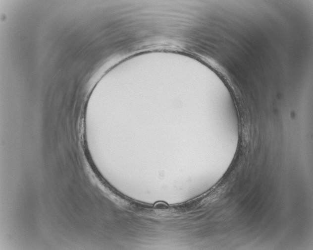 X0000052551383200507291905