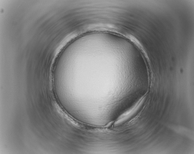 X0000052551384200507291905