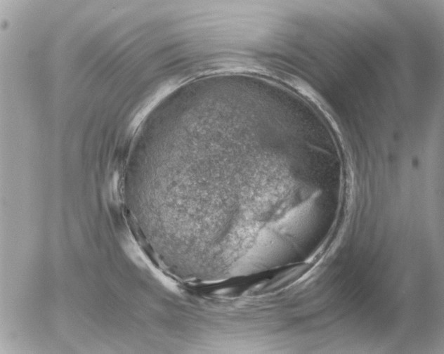 X0000052551385200507291905