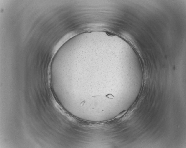 X0000052551386200507291905