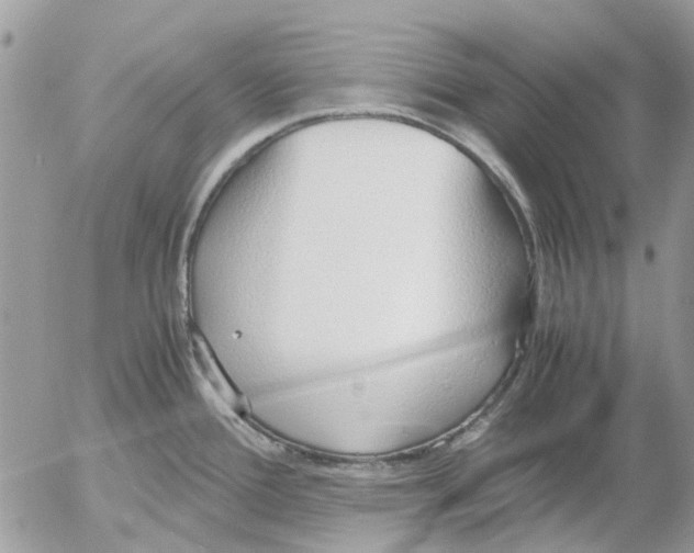 X0000052551388200507291904