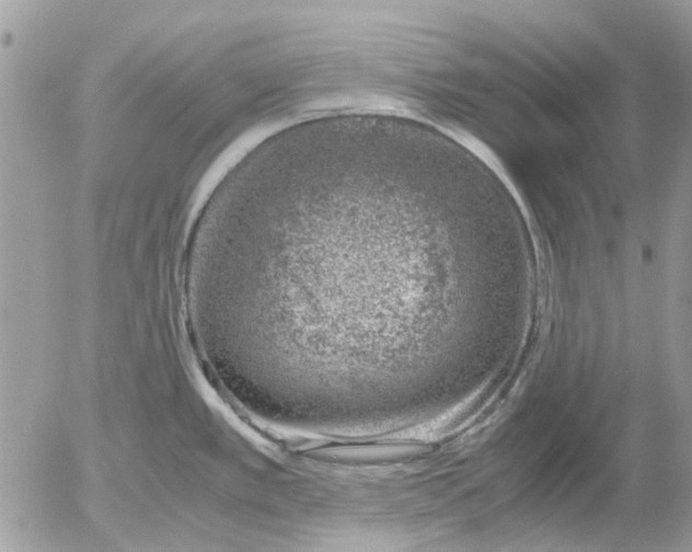 X0000052551389200507291904