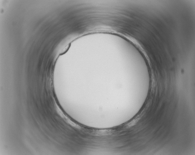 X0000052551390200507291904