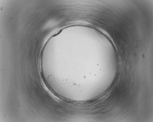 X0000052551391200507291904