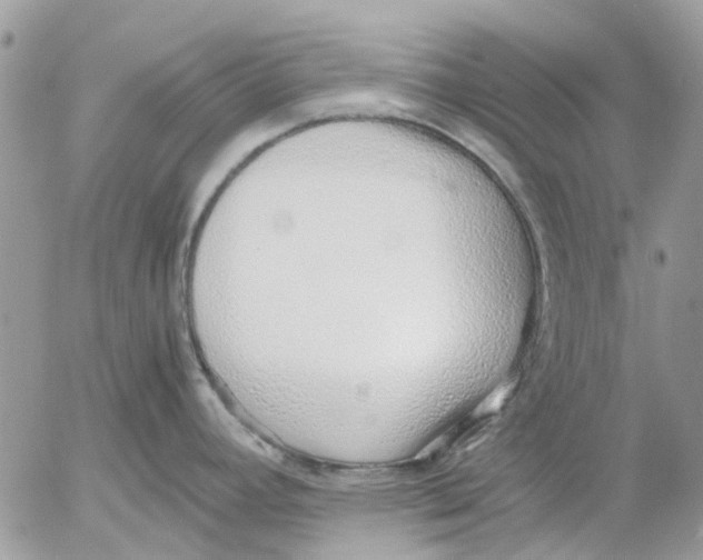 X0000052551392200507291904