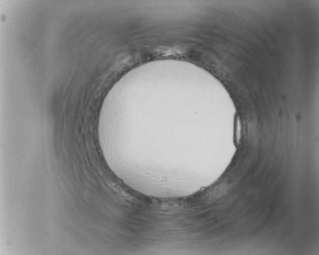 X0000052551393200507291904