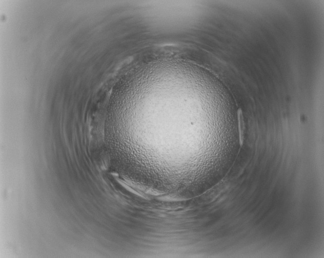 X0000052551394200507291904