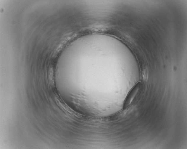 X0000052551396200507291904