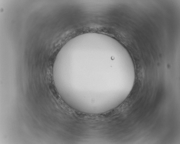 X0000052551397200507291904