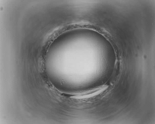 X0000052551398200507291904