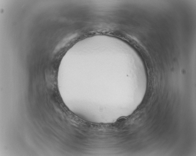 X0000052551399200507291904